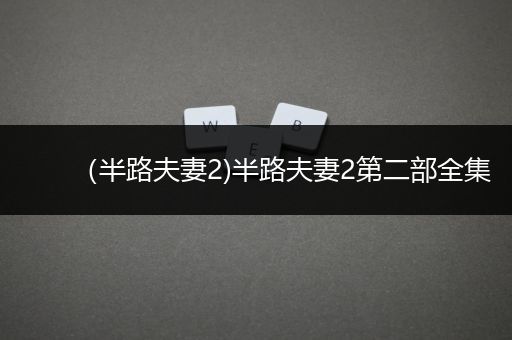 （半路夫妻2)半路夫妻2第二部全集